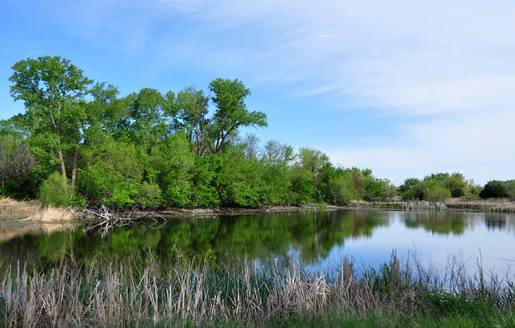 More shots from today on my home page...wayoffthetrail.com